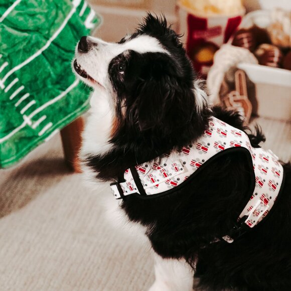 Ohio State Buckeye's Helmet Paw Print Pet Harness - Picture 6 of 10